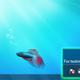 Image for article titled How to Get, Install and Play With Windows 7, Pain Free